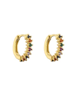 Oorbellen - Sparkling hoops